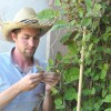 Lucas HEITZ, The Curious Gardener