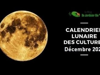 Calendrier lunaire pour jardiner avec la Lune en décembre 2022 - PDF